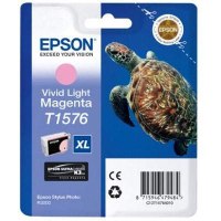 T1576 Light Magenta (Turtle)