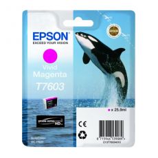 T7603 Magenta (Whale)