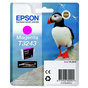 T3243 Magenta (Puffin)