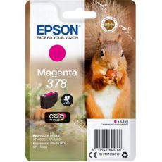 378 Magenta (Squirrel)